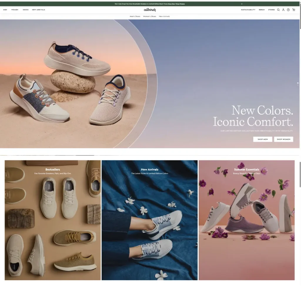 All bird Case Study